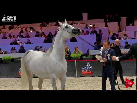 N.57 L'IMPERATRICE EA - Paris 2017 - Senior Mares (Class CM3A)
