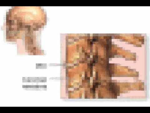 közös gyógyszer gyógyszertárban