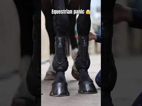 , title : 'EQUESTRIAN PANIC 🫣 | #shortsvideo #tumisia'