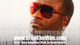 Akon - Nosy Neighbour (PRod. David Guetta)