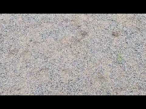 PuPe - Lippo D-pojat kilpasarja 22.05.2021.