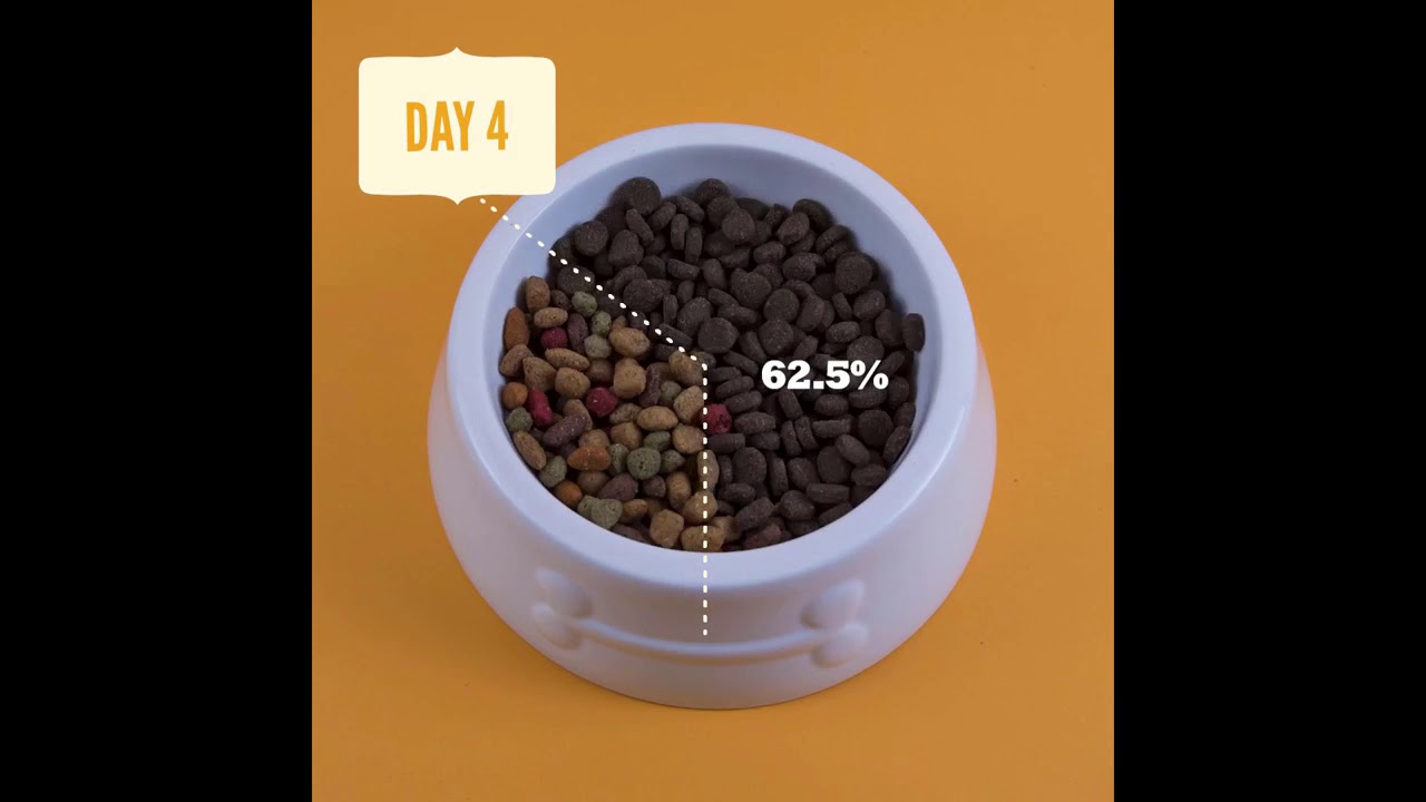 Acana   Pet Lovers Want to Know Seriessub 저용량 1