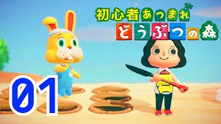 【あつまれどうぶつの森】島の名前を決めたら、代表取締役に選ばれました。1日目