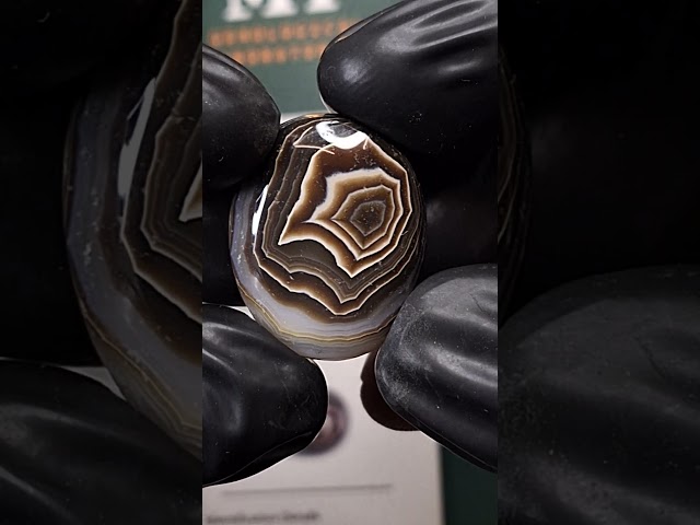 حجر عقيق مصور رأس طير طبيعي مفحوص و موثق بشهادة مخ...