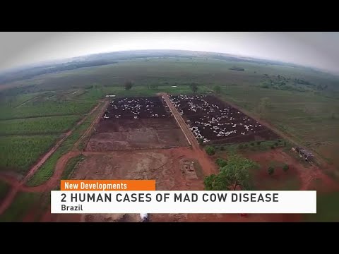 Brazil Mad Cow 111521