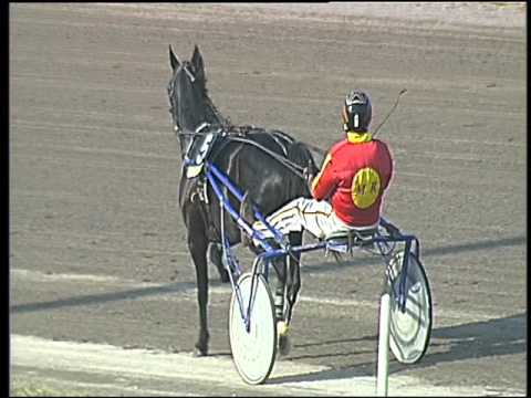 Trotto 29/04/2016 - 8° Corsa