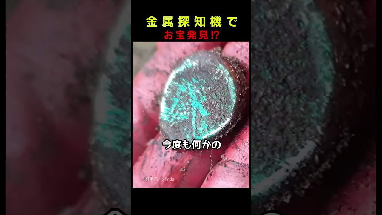 金属探知機でお宝発見！？