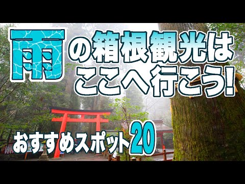 YouTube動画を再生