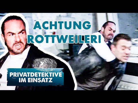 Hate or jealousy? - Rottweiler stolen! | Private detectives on the case