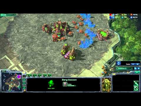 Zerg Strategy - Leenock 10 Roach Rush ZvP - Starcraft 2
