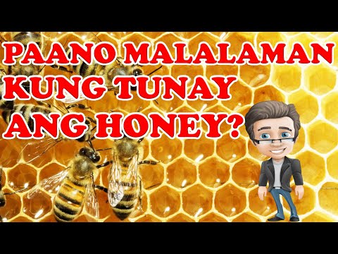 PAANO MALALAMAN KUNG TUNAY ANG HONEY O PULOT?