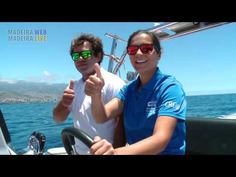 Whale and dolphin watching in Madeira 2016