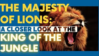 The Majesty of Lions A Closer Look at the King of the Jungle