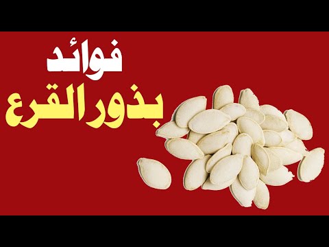 10 فوائد صحية لا تعرفها عن بذور القرع !