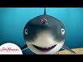A Shark Sized Job For Denny Splash And Bubbles The Jim Henson Company