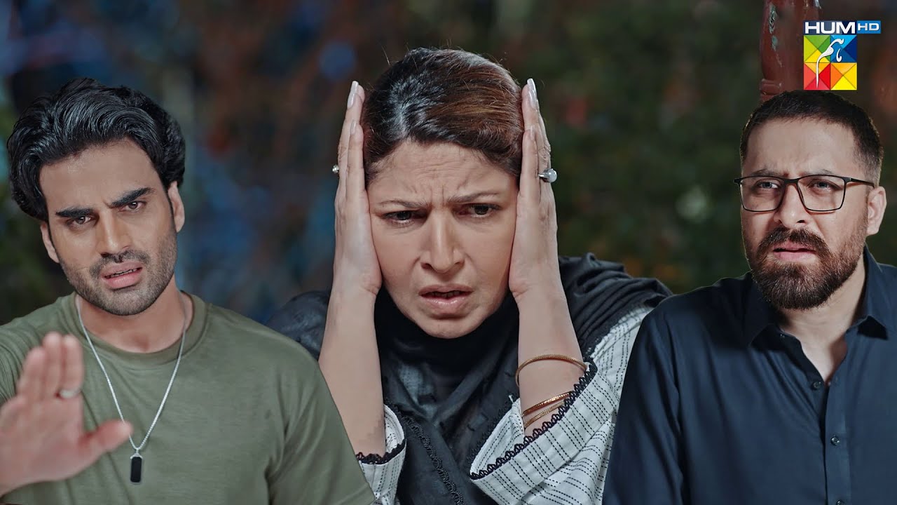 Karobar Ke Naam Per Bhaion Ka Khoon Sufaid... Meri Bahuain - HUM TV