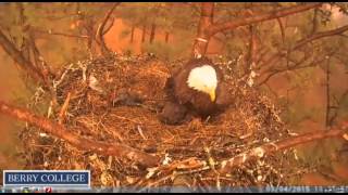 berry eagles march 4   004storm