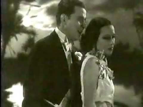 Orchid in the moonlight