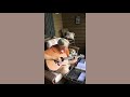 FrontPorchGuitarPicking - Zephyr (Mary Chapin Carpenter)