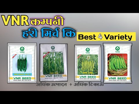 Vnr g 303, chilli seeds - 10gm, packaging type: packet, pack...