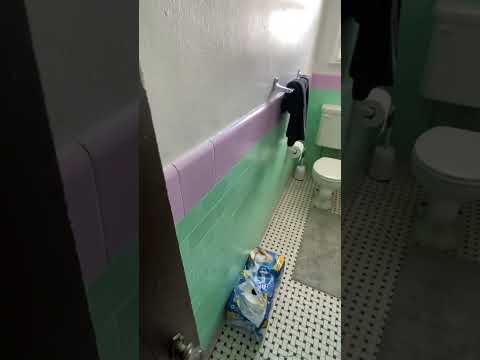 167 Morewood Ave - Video 2 of 2