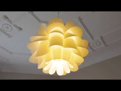 SOLD - 41 Clonbern Road, Remuera - Dong Liu