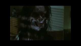 Metallica - Of Wolf and Man (music video)