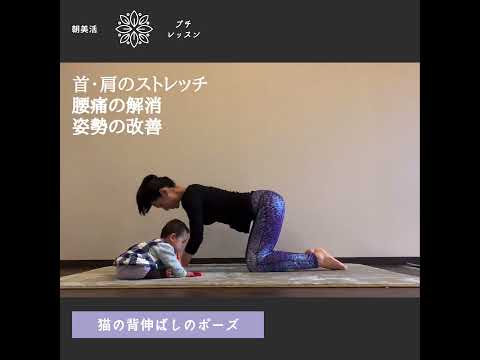 YOGAサロンchakuraの動画
