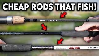 The Top 10 Spinning Rods Under $100! 2026 Ultimate Buyers Guide
