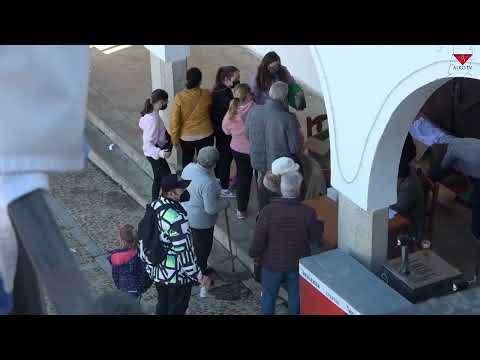 San Silvestre DIRECTO