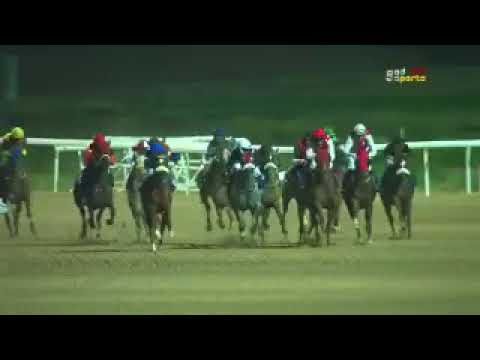 Darius du Paon - Maiden