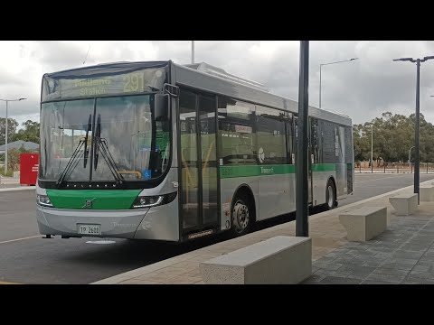 [290 Series] Transperth Bus Route No. 291 (TP2600) Redcliffe Station to Midland Station