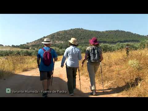 Gro�e Wanderweg von M�laga (GR 249). Alternativroute 1. Alameda - Mollina - Humilladero - Fuente de Piedra