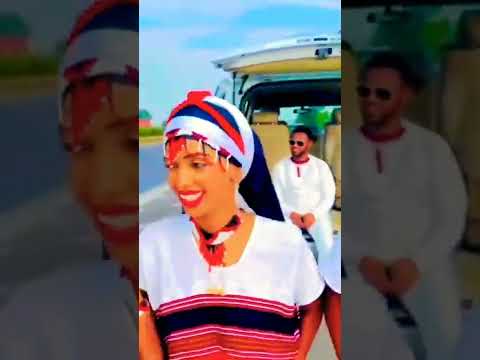 lencho gemechu oromo music oromo TikTok video