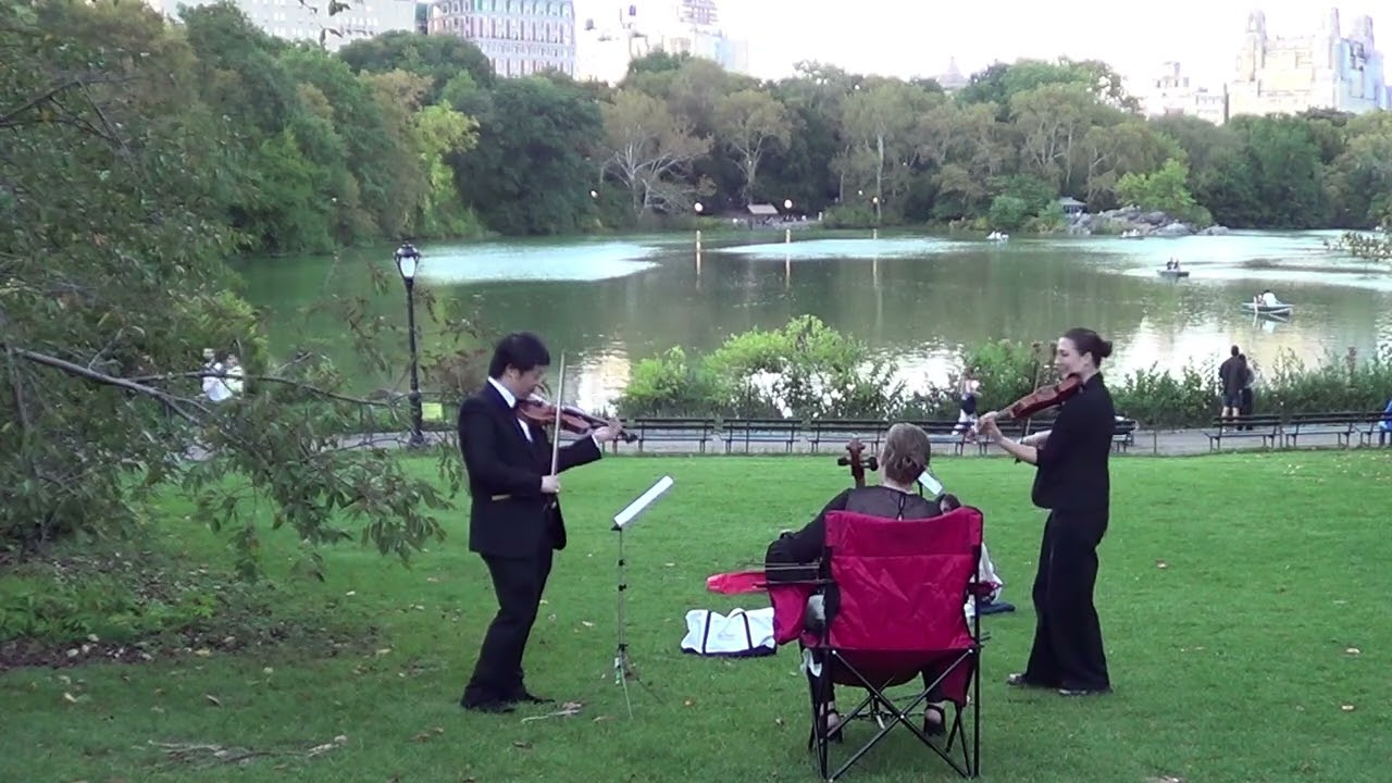 Promotional video thumbnail 22 for Xinou Wei Strings