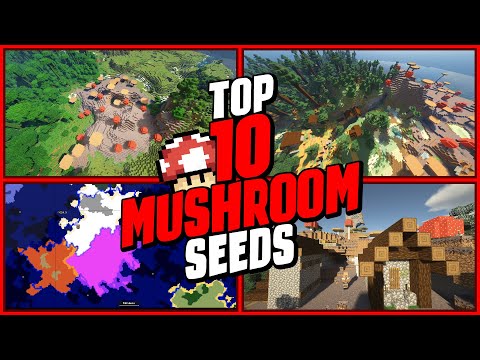 MazBro Minecraft Seeds - 🍄 TOP 10 Best Minecraft Seeds 🍄 MUSHROOM BIOME Edition! 100% My BEST Seeds! (Part 1)