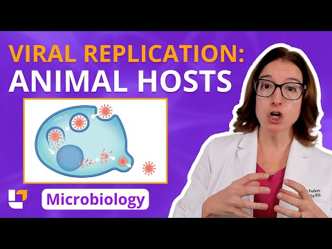 Viral Replication in an Animal Host: Microbio Acellular Pre-Nursing / Med Students | @LevelUpRN