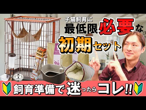 初めての猫:世話と家の準備の仕方