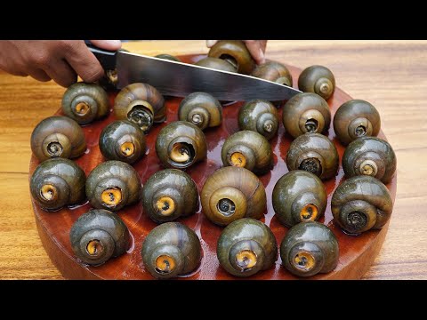 Snail Soup Recipe | River Snail Cooking with Mushroom & Onion