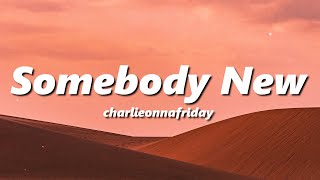 charlieonnafriday - Somebody New (slowed + reverb)