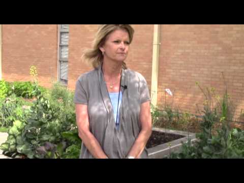 WFAA K-5 Eco-Educator Winner - Patty Wallace, Ruby Young ES