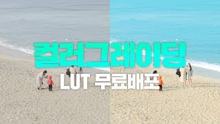 [프리미어프로기초강좌] 15강. 영상 색보정 컬러그레이딩 하는 방법 (LUT 4종 무료 공유)