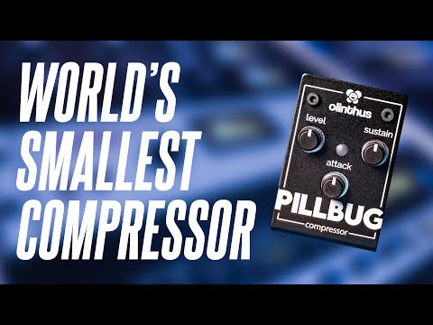 The SMALLEST Compressor Pedal IN THE WORLD! Olinthus Pillbug!