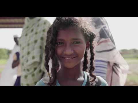 この熱帯病は現在ドイツでも蔓延しています