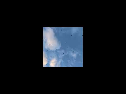 Catalyst Bars - Let's Talk About It (Prod by kodeblooded)