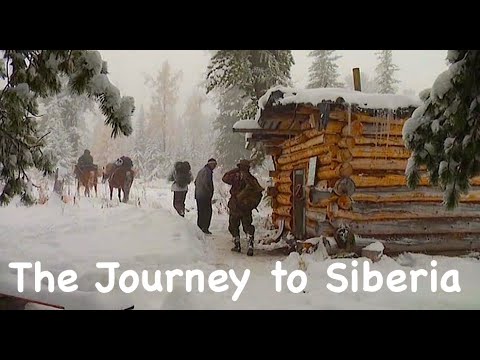 The Journey to Siberia / Bushcraft in Siberia / Wild cedar forests / Bears and Chipmunks