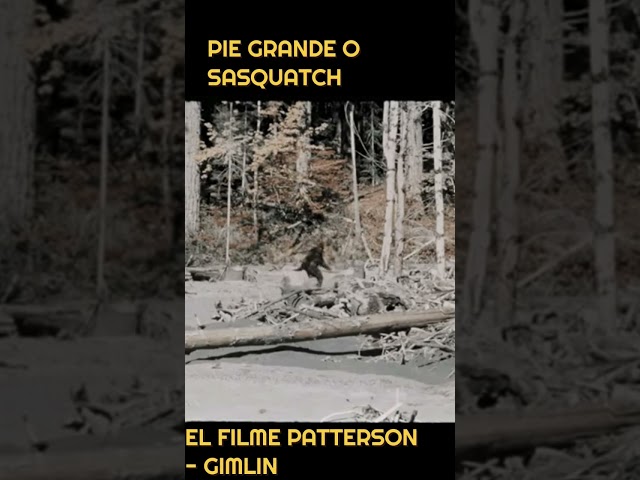 Vídeo relacionado con Misterioso Bigfoot Van Gogh Pueblo Nocturno Estrellado pacífico Sudadera