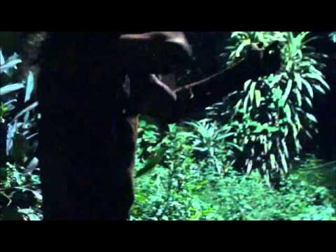 Cenas de Ridarco & Sátiros