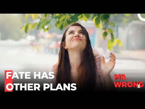 The First Day Of Love - Mr. Wrong