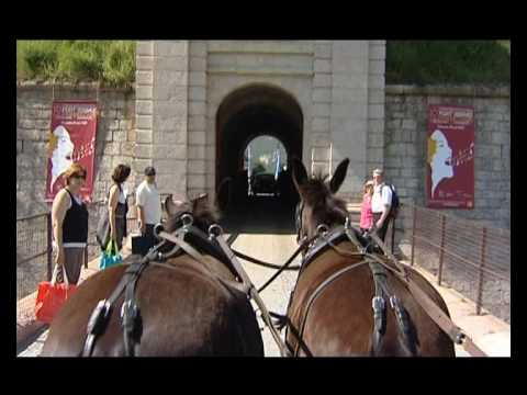 Introduction of Festival « Fortissimo... voix du monde »